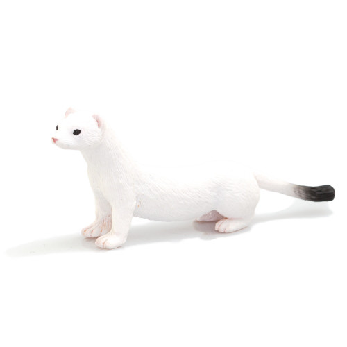 Ermine