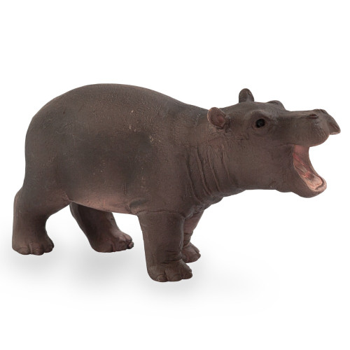 Hippopotamus Calf