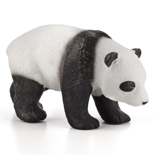 Giant Panda Baby