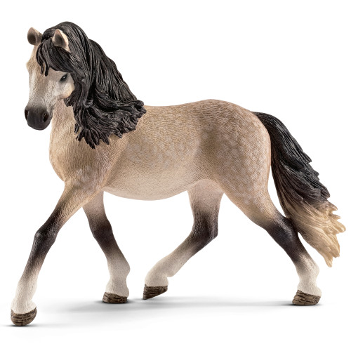 Andalusian Mare 2016
