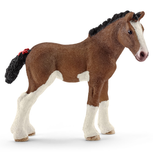 Clydesdale Foal 2016