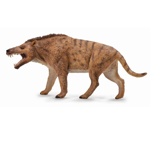 Andrewsarchus Deluxe Scale CollectA