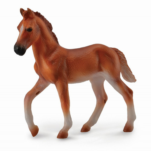 Peruvian Paso Foal Chestnut