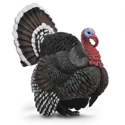 Turkey CollectA