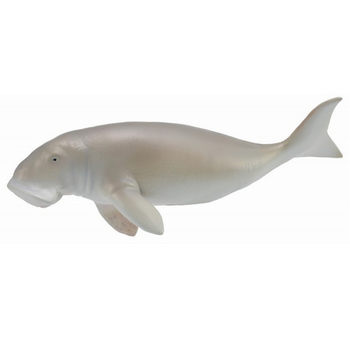 Dugong