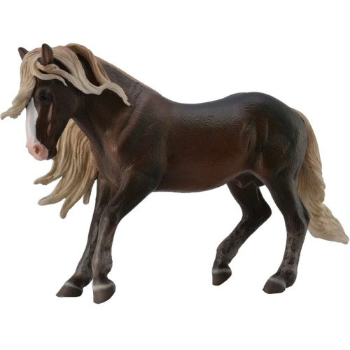 Black Forest Horse Stallion
