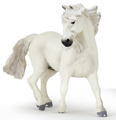 Camargue Horse White Mane