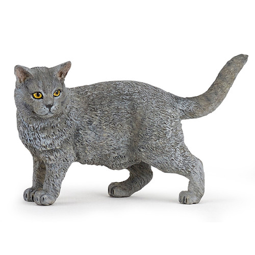 Cat Chartreux