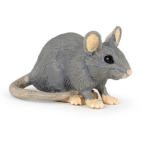 House Mouse