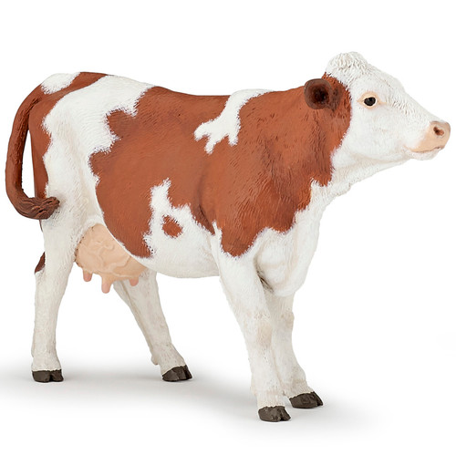 Montbeliarde Cow