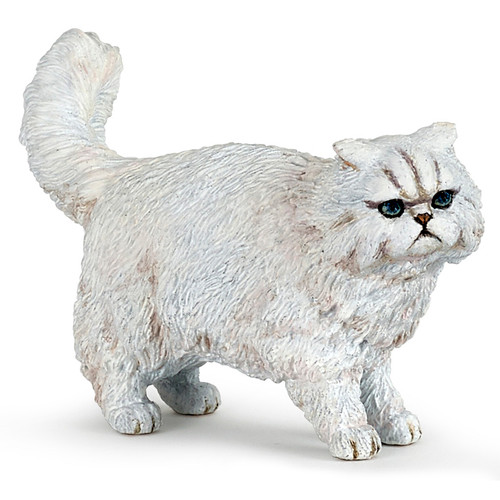 Cat Persian