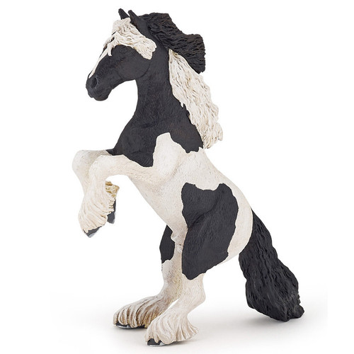 Cob Horse Reared Up