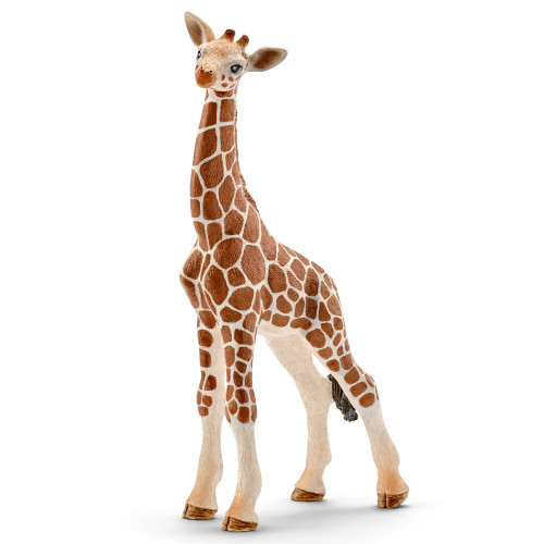 Giraffe Calf 2016