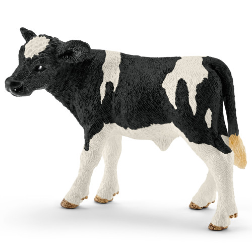 Holstein Calf 2016