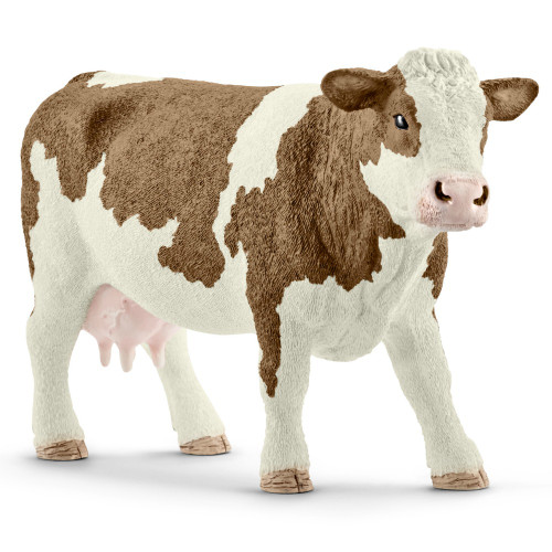 Simmental Cow 2016