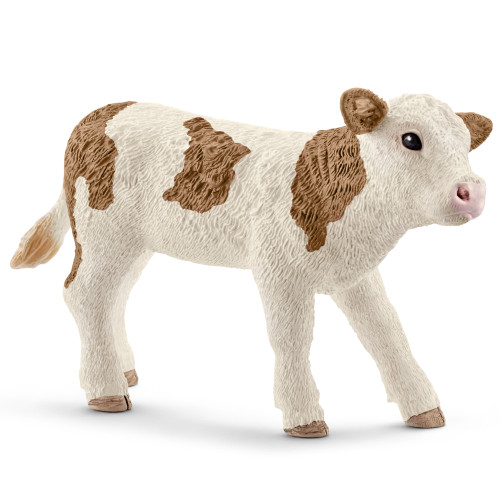 Simmental Calf 2016
