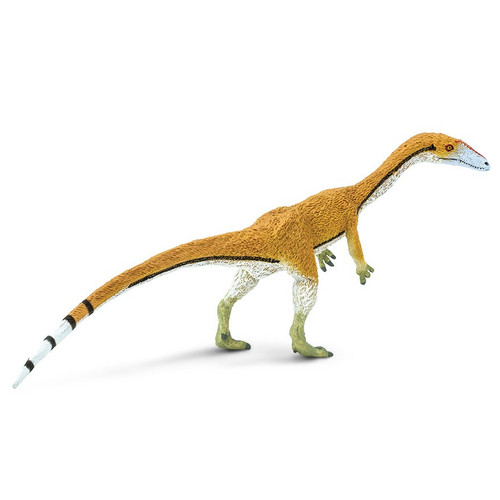 Coelophysis