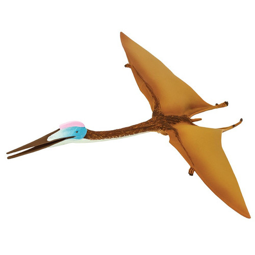 Quetzalcoatlus Safari
