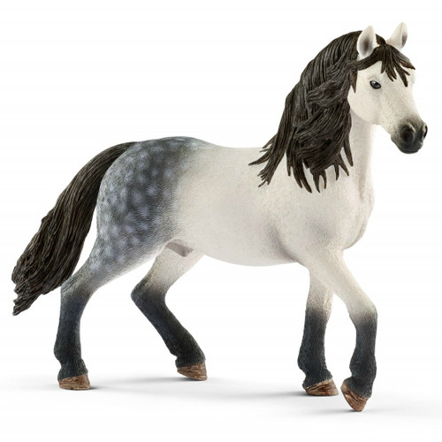 Andalusian Stallion