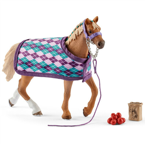 English Thoroughbred with Blanket