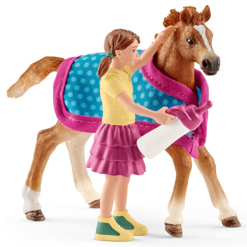 Foal with Blanket