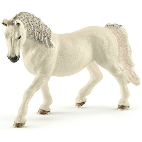 Lipizzaner Mare