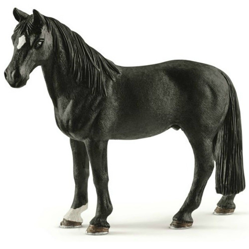 Tennessee Walker Gelding