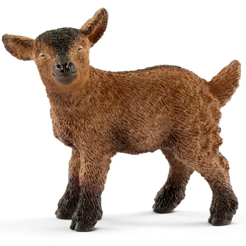 Goat Kid 2017