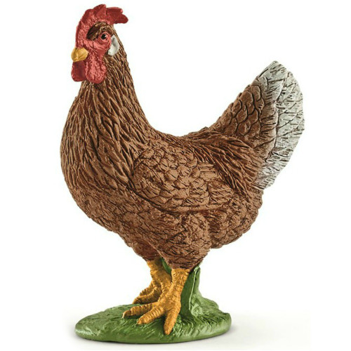 Hen 2017