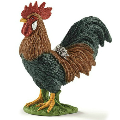 Rooster 2017