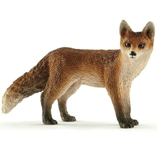 Fox