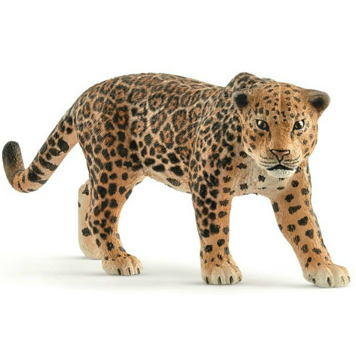 Jaguar 2017