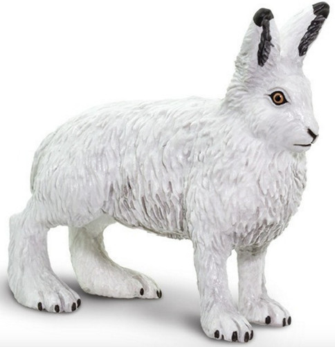 Arctic Hare Safari
