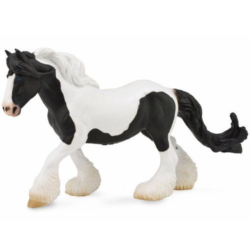 Gypsy Mare Black and White Piebald