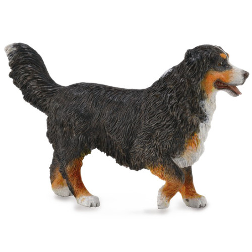 Bernese Mountain Dog CollectA