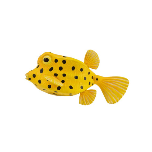 Boxfish CollectA