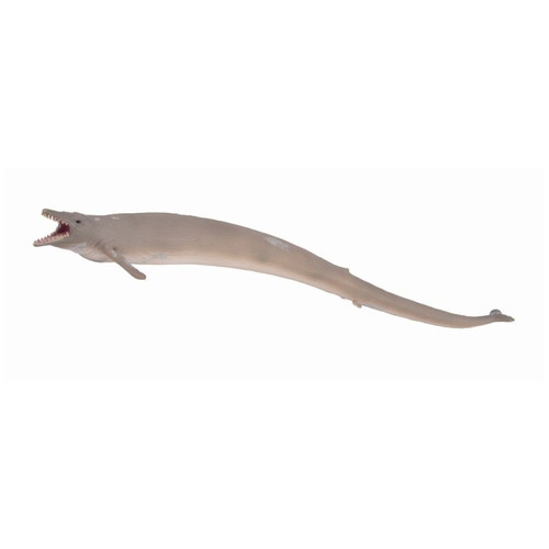 Basilosaurus CollectA