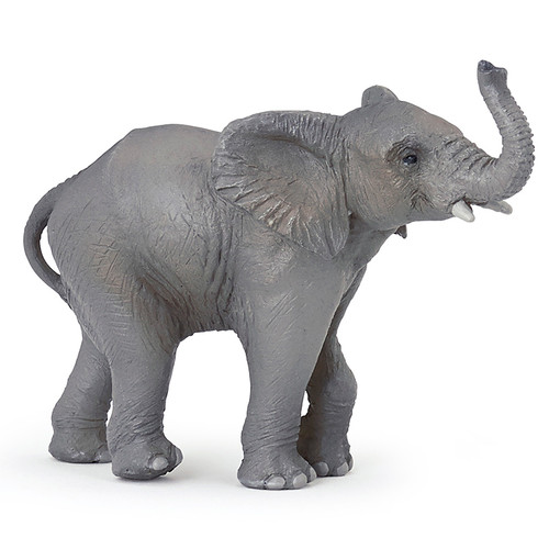 Young Elephant Papo