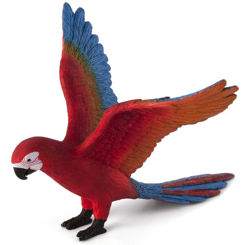 Red Macaw Parrot