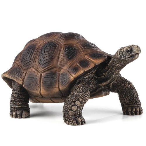 Giant Tortoise Mojo