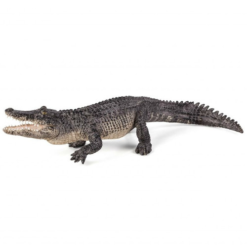 Alligator Mojo