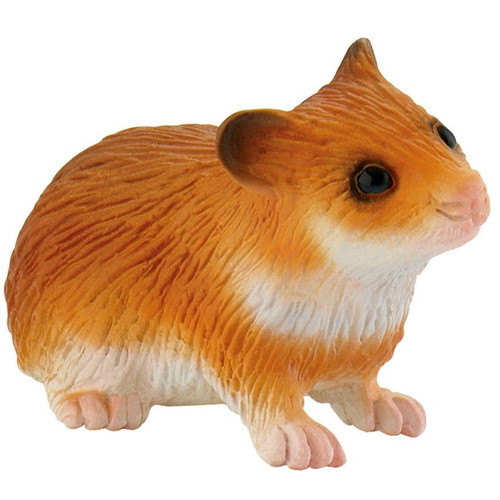 Hamster