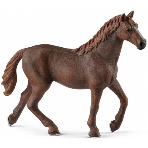 English Thoroughbred Mare