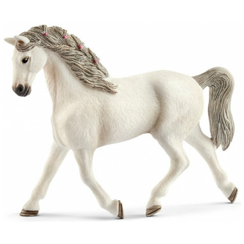 Holsteiner Mare