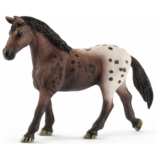 Appaloosa Mare 2018