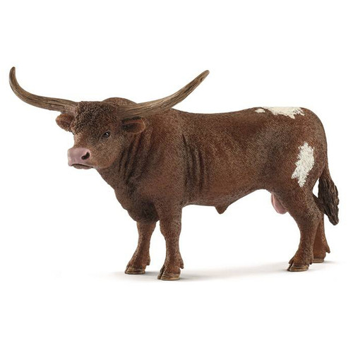 Texas Longhorn Bull 2018