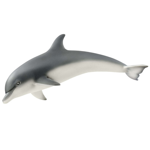 Dolphin 2018