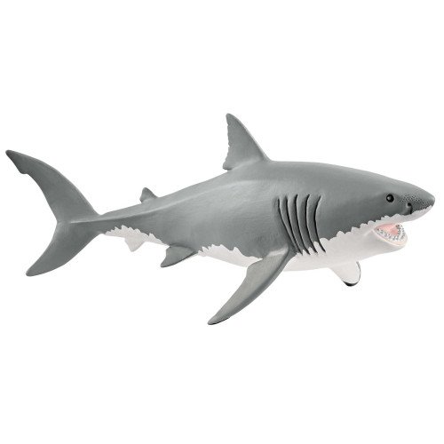 Great White Shark 2018