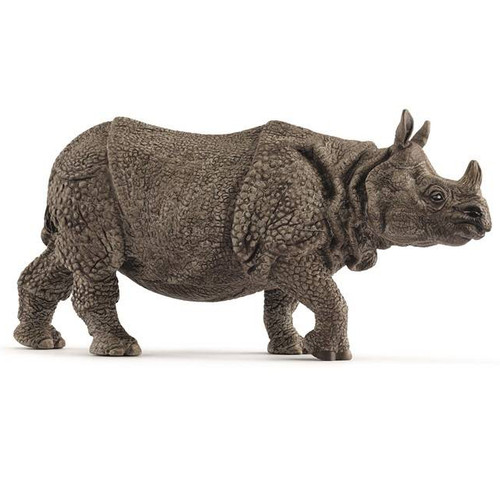 Indian Rhinoceros