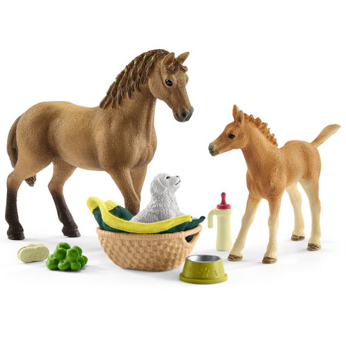 Sarah's Baby Animal Care